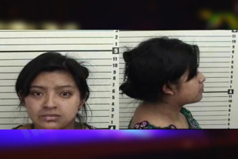 Karolina Perez Mugshots