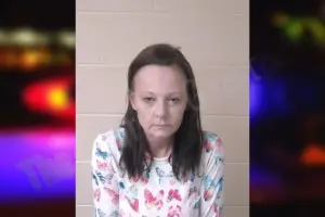Karrie Nowlin mugshot
