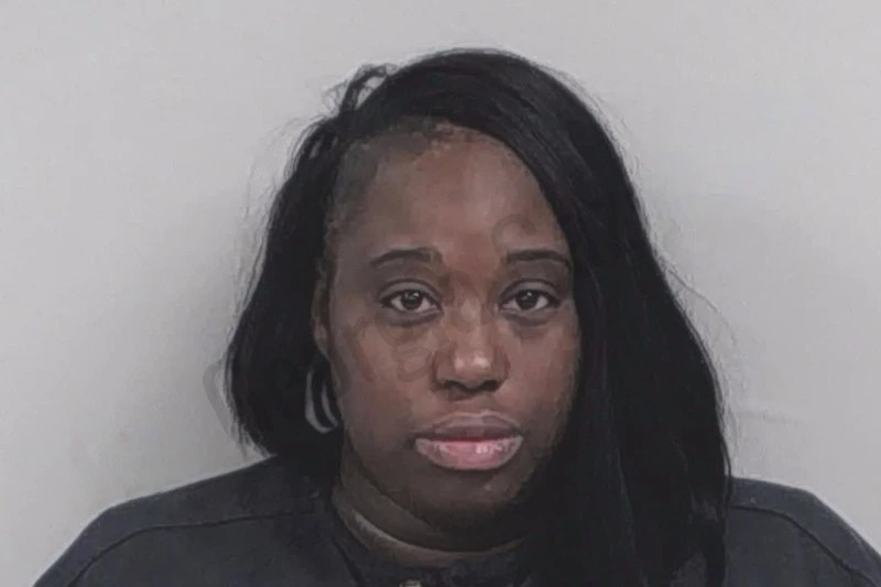 Katerri Ellis Mugshots