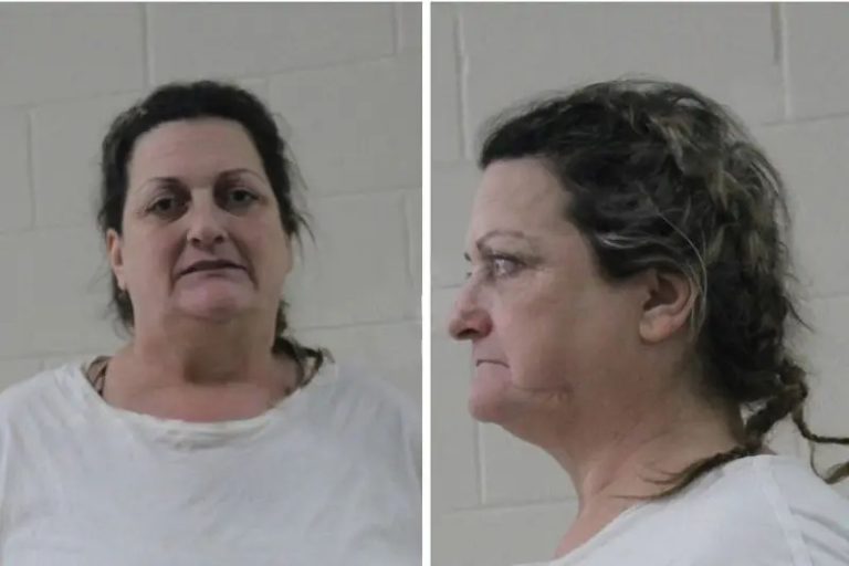 Katina Wright mugshot – Houston County , Georgia Katina Wright
