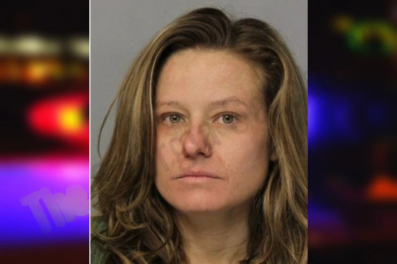 Kayla Brister mugshot – Hall County , Georgia Kayla Brister mugshot