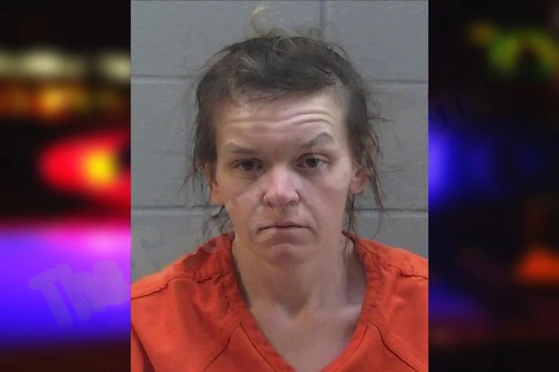 Kayla Meadows Mugshots