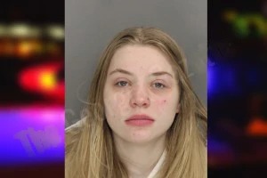 Kaylee Makamson mugshot – Cobb County , Georgia Kaylee Makamson mugshot