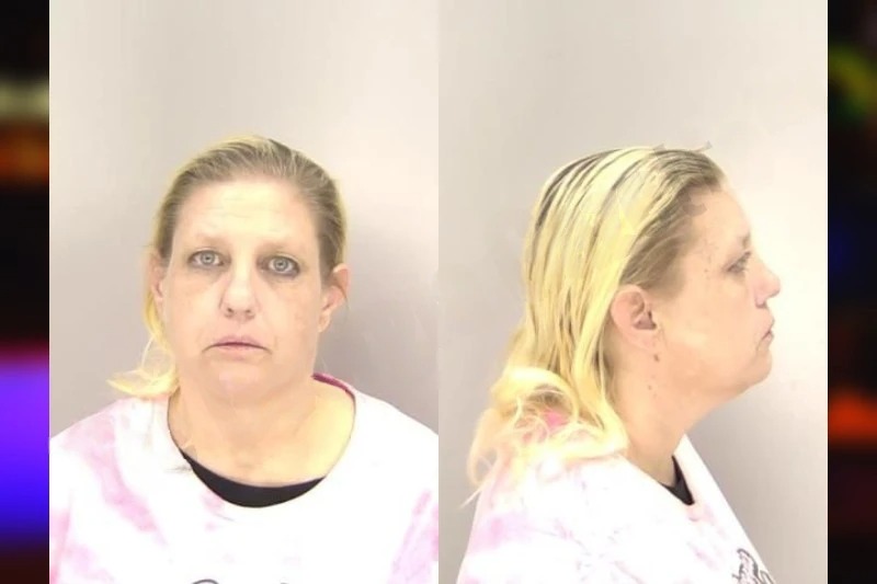 Kelly Clark Mugshots