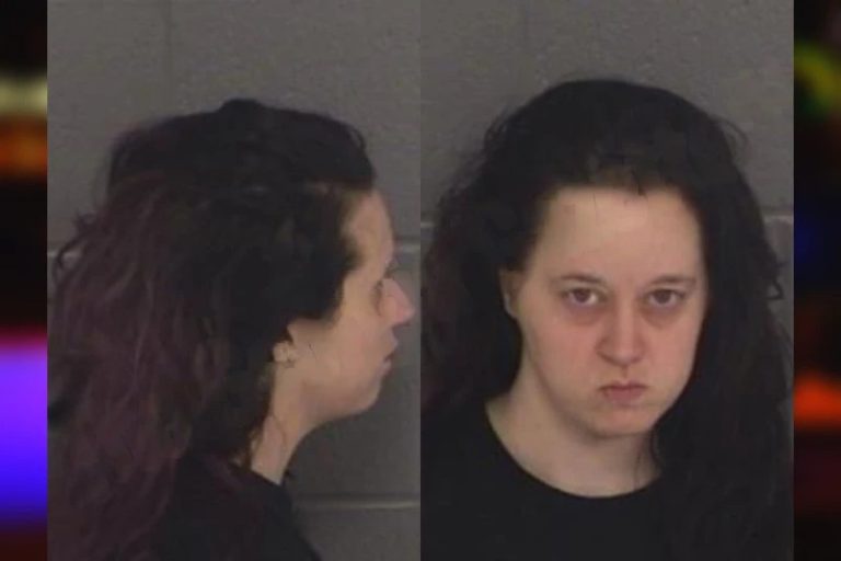 Kelly Lakhani mugshot – Barrow County , Georgia Kelly Lakhani