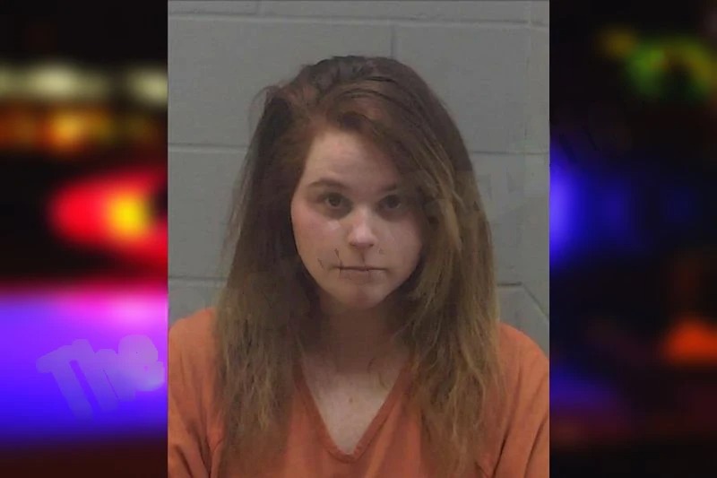 Kelly McAleese Mugshots