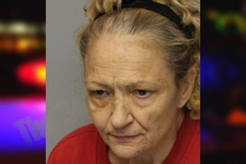 Kelly McGinley mugshot – Hall County , Georgia Kelly McGinley mugshot