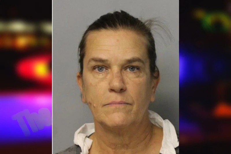 Kerri Lloyd mugshot – Hall County , Georgia Kerri Lloyd mugshot