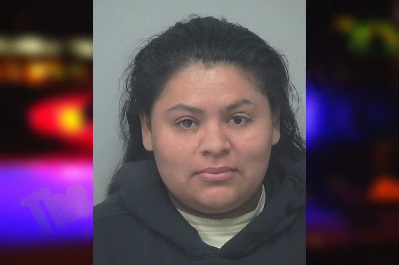 Keydi Delcid-Alvarado mugshot