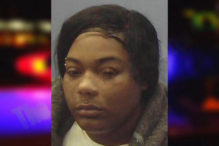 Kierra Farmer mugshot β Chattooga County , Georgia Kierra Farmer