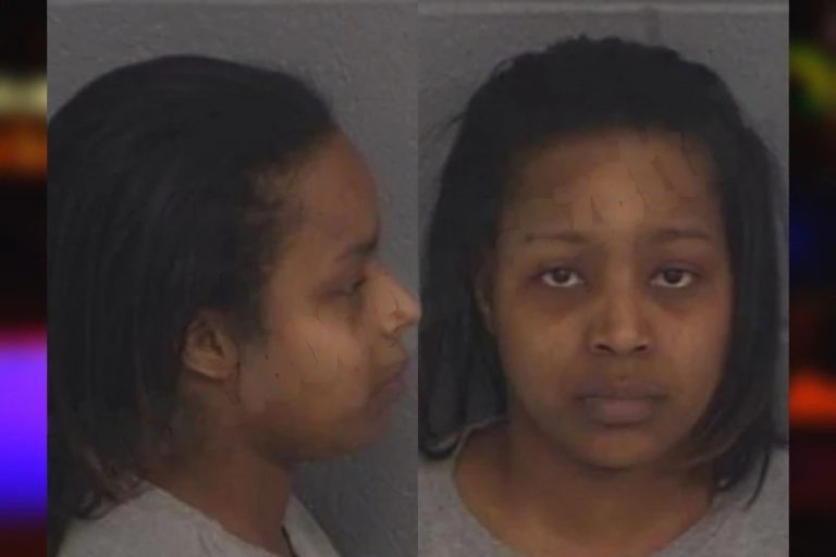 Kierra Wyckoff-Watson mugshot – Barrow County , Georgia Kierra Wyckoff-Watson