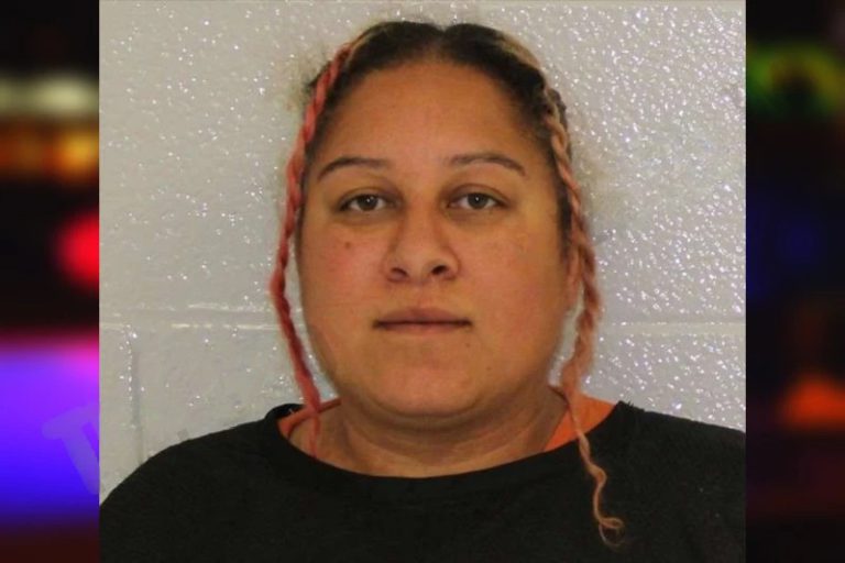 Kimberley Murtagh mugshot – Carroll County , Georgia Kimberley Murtagh