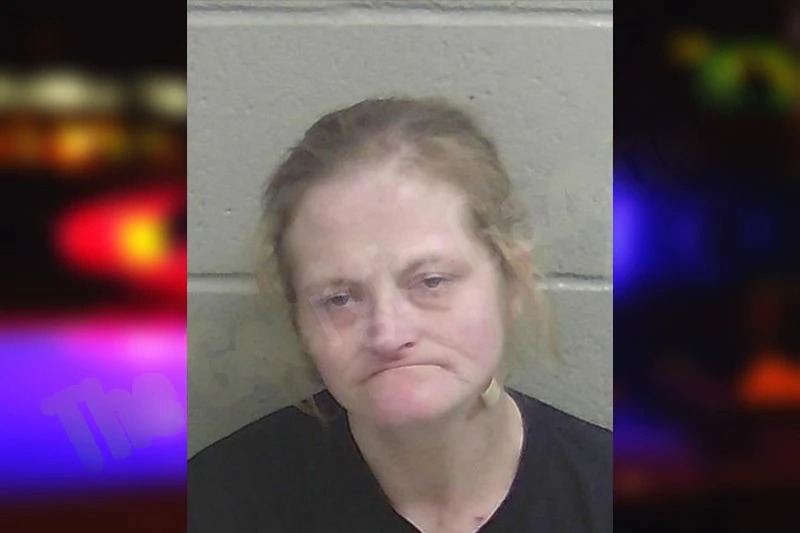 Kimberly Griffin mugshot – Wayne County , Georgia Kimberly Griffin mugshot