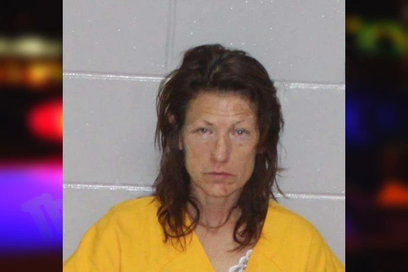 Kimberly Vandenbergh mugshot – Morgan County , Georgia Kimberly Vandenbergh mugshot