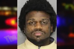 Kingston Bradley mugshot