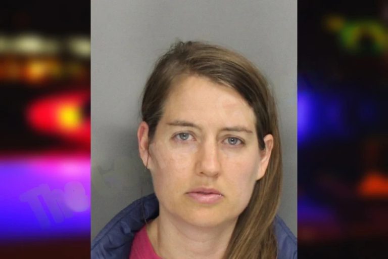 Kristen Ng mugshot – Cobb County , Georgia Kristen Ng