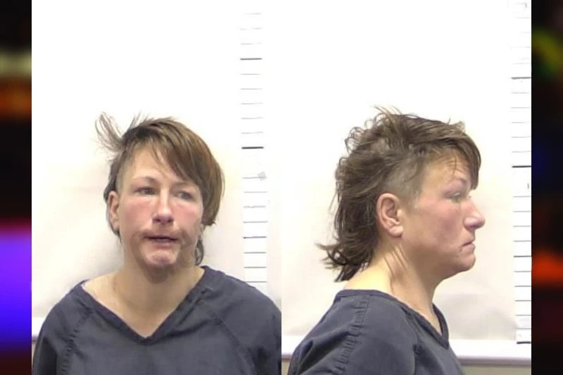 Kristen Ricks mugshot – Clarke County , Georgia Kristen Ricks mugshot