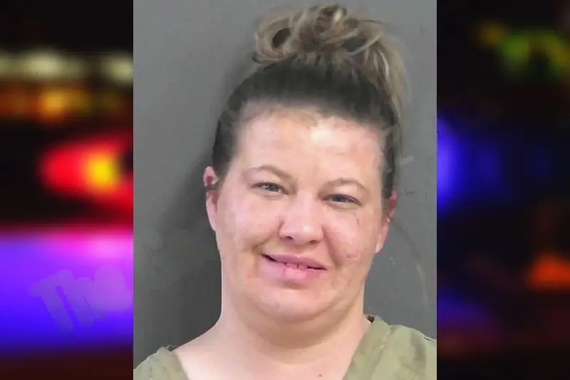 Kristin McMichen mugshot