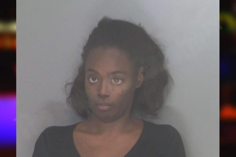 Kristin Thomas mugshot – Douglas County , Georgia Kristin Thomas