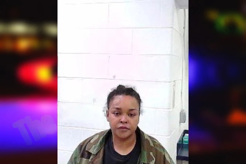 Kym Lewison mugshot – Fulton County , Georgia Kym Lewison mugshot