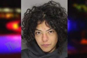 Kyrsten Lagunas Mugshots