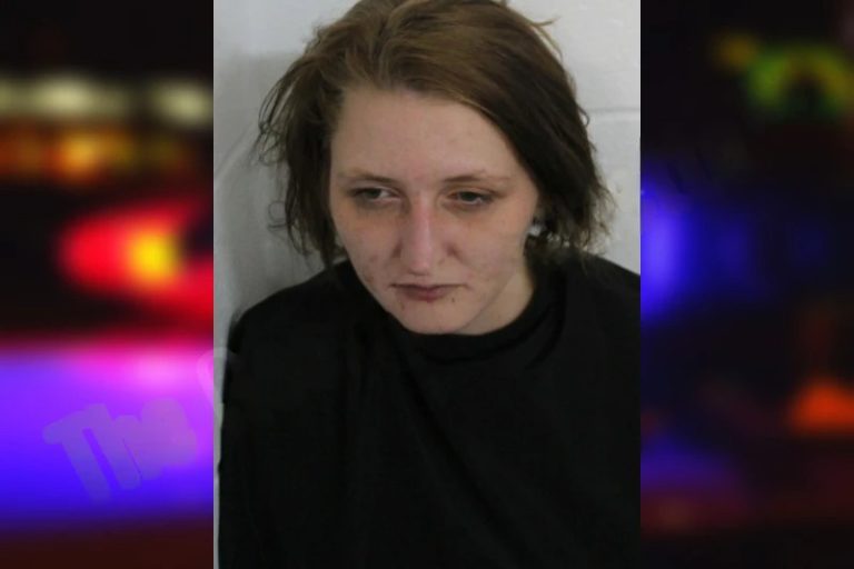 Lacey Gentry mugshot – Floyd County , Georgia Lacey Gentry