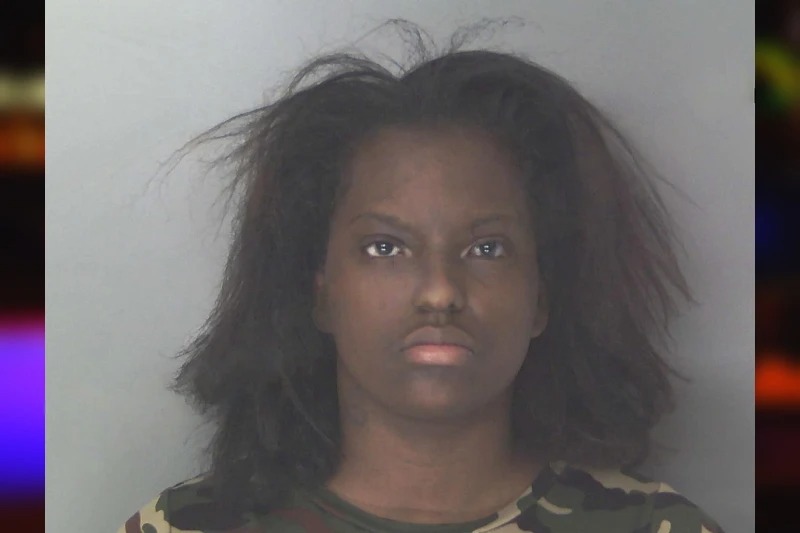Lacie Bryant mugshot – Douglas County , Georgia Lacie Bryant mugshot