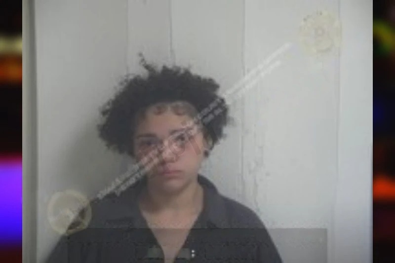 Laiana Walk mugshot