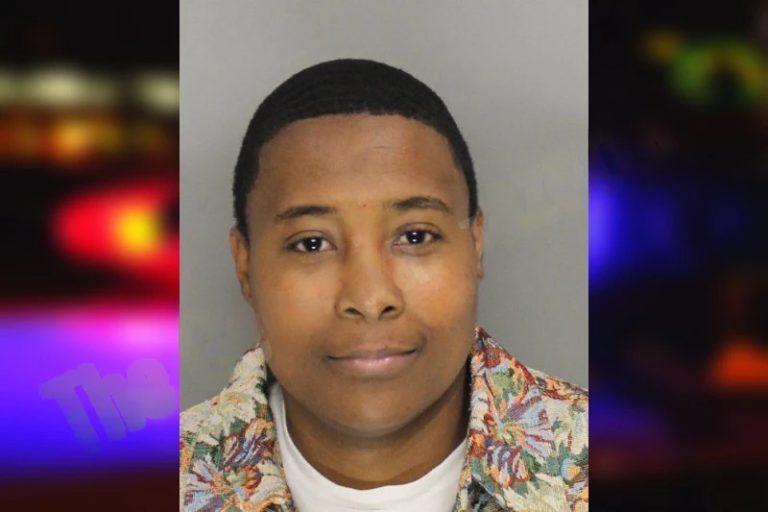 Lakeesha Fountain mugshot – Cobb County , Georgia Lakeesha Fountain