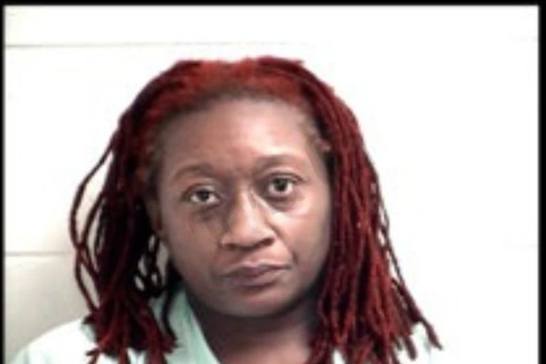 Lakeshia Whitaker mugshot – Henry County , Georgia Lakeshia Whitaker