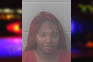 Lanecie Tinsley Mugshots