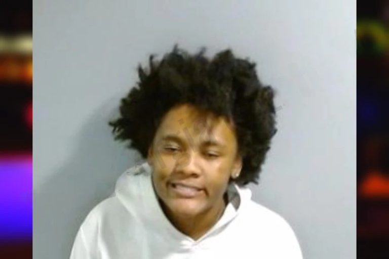 Lashon Sneed mugshot – Fulton County , Georgia Lashon Sneed