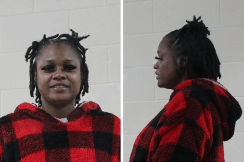Lashonda Styles Mugshots