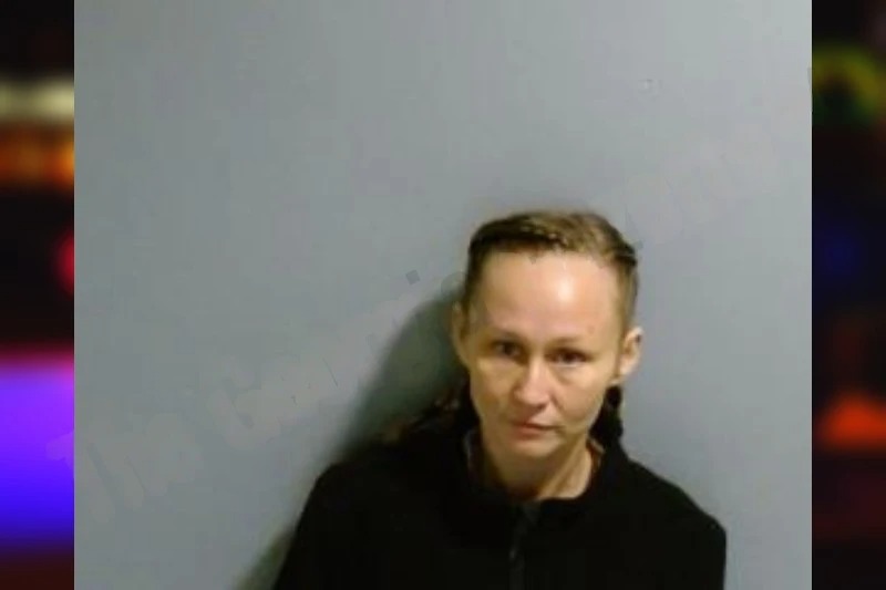 Latsha Baker mugshot – Fulton County , Georgia Latsha Baker mugshot