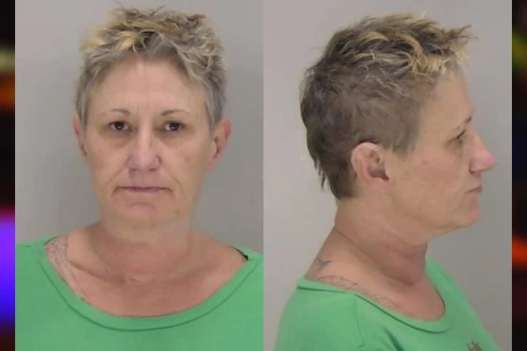 Laura Locklair mugshot – Fayette County , Georgia Laura Locklair