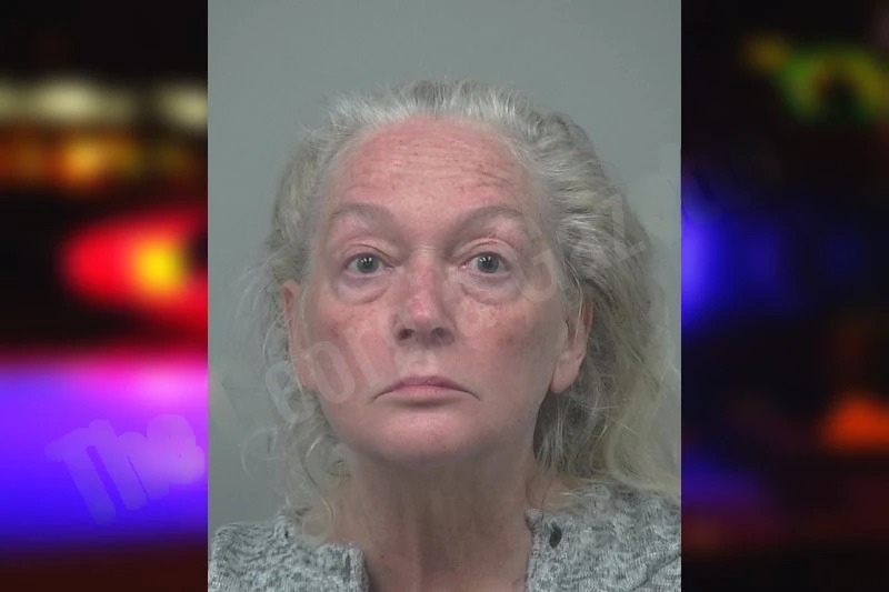 Laura Rohrbach Mugshots