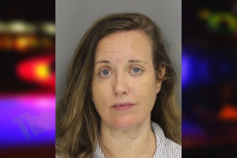 Lauren Britt mugshot – Cobb County , Georgia Lauren Britt