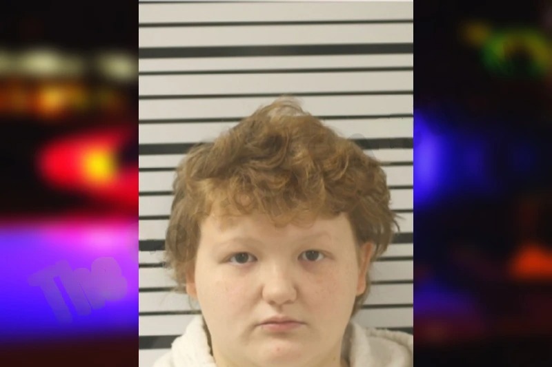 Layla Sloan mugshot – Toombs County , Georgia Layla Sloan mugshot