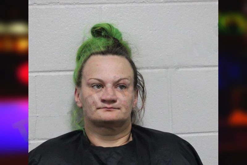 Leanna Franklin mugshot – Habersham County , Georgia Leanna Franklin mugshot