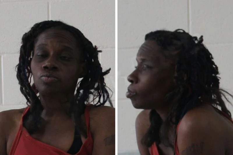 Lekesia Turner Mugshots