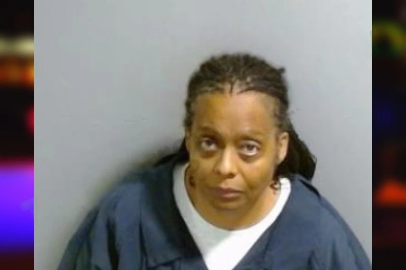 Lesley Jenkins mugshot