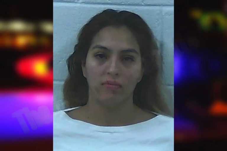 Lia Toboada Vargas mugshot – Jackson County , Georgia Lia Toboada Vargas