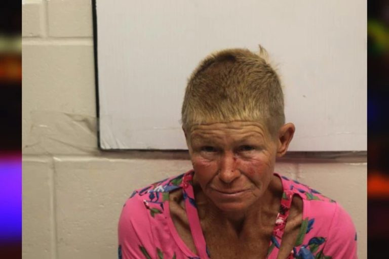 Liane Carl mugshot – Coweta County , Georgia Liane Carl