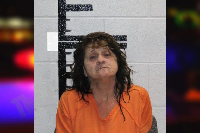 Lillye Ivy mugshot – Murray County , Georgia Lillye Ivy