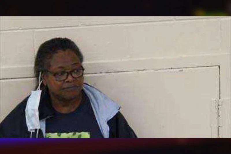 Linda Johnson Mugshots