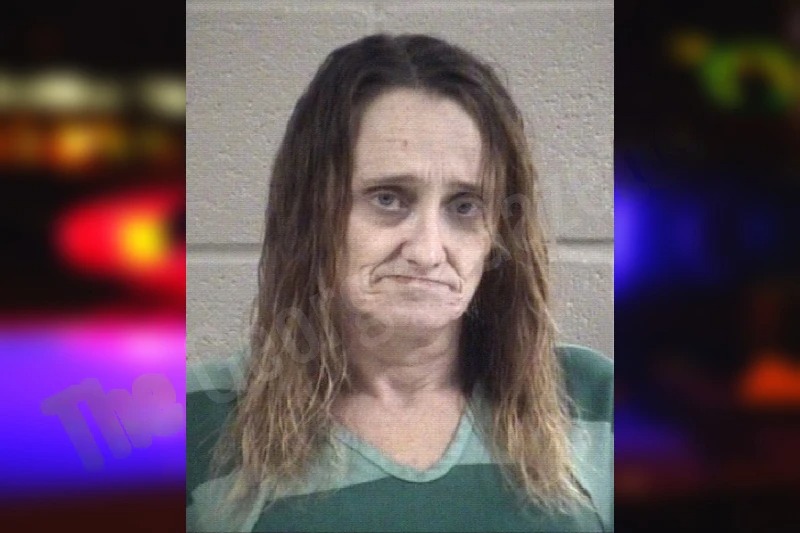 Linda Mulkey Mugshots