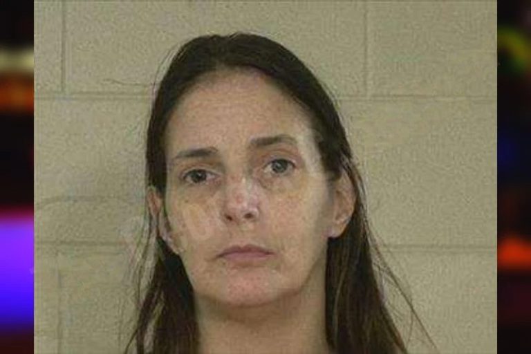 Lisa Bennett mugshot – Liberty County , Georgia Lisa Bennett