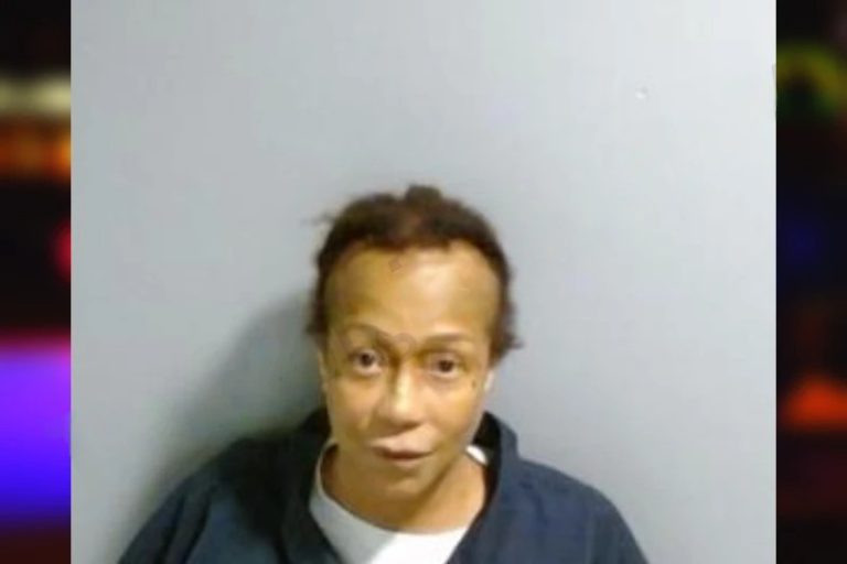 Lisa Hampton mugshot – Fulton County , Georgia Lisa Hampton