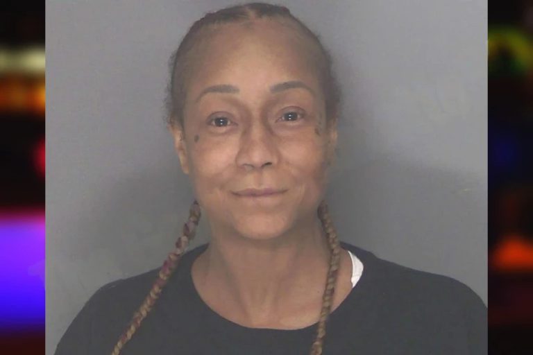 Lisa Hampton mugshot – Douglas County , Georgia Lisa Hampton