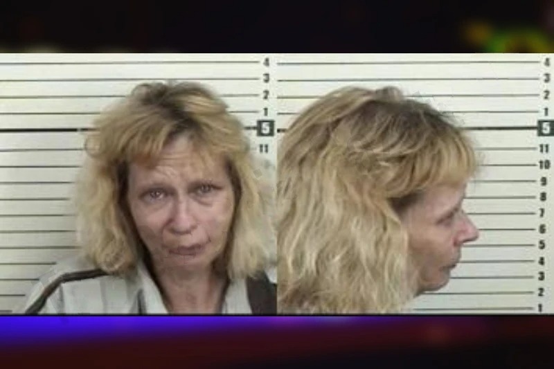 Lisa Hawkins mugshot